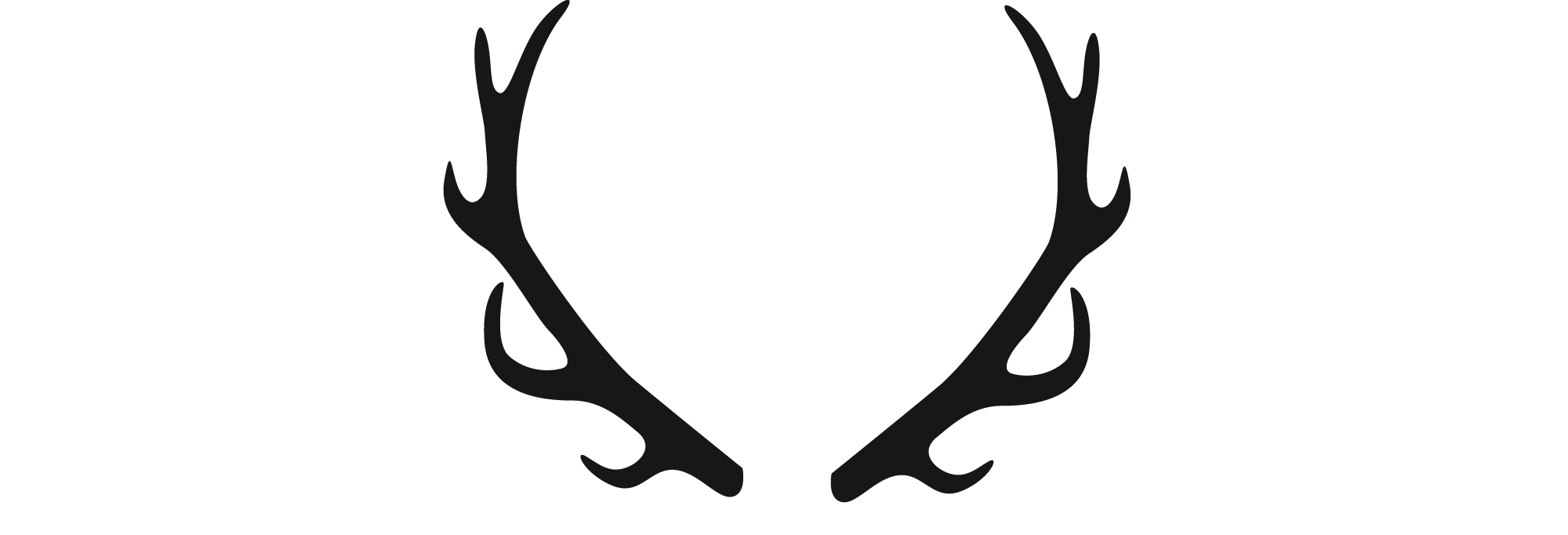 Logo der Asten Chalets Winterberg